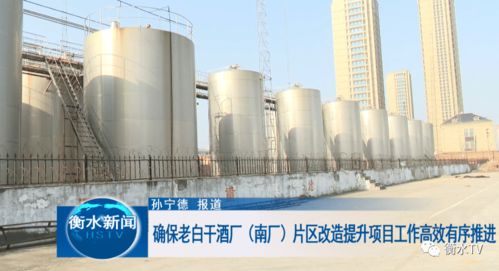 科學統籌與精心勘察 高效推進老白干酒廠南廠片區改造提升中的文物保護工程